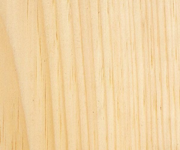 Sustainable Materials For Packaging | Eco-Friendly Solutions